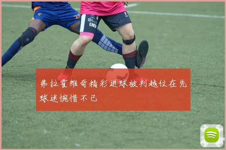 弗拉霍维奇精彩进球被判越位在先球迷惋惜不已