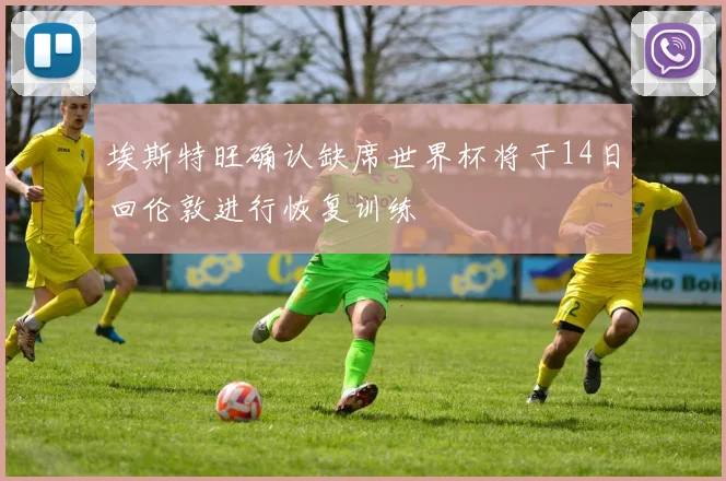 埃斯特旺确认缺席世界杯将于14日回伦敦进行恢复训练